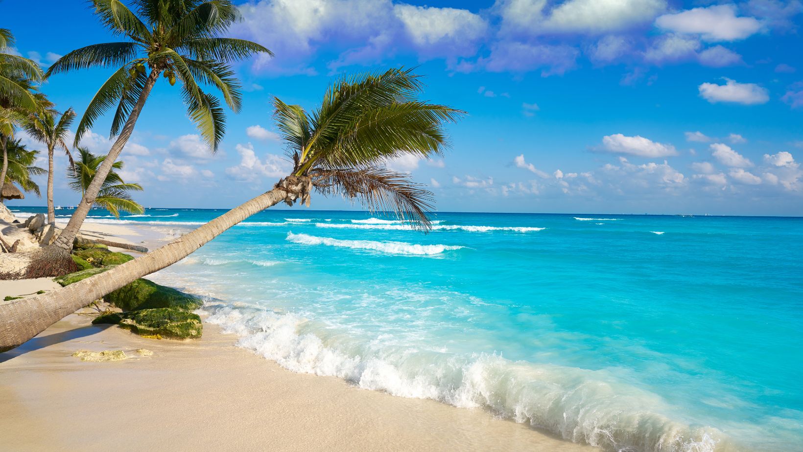 Yucatán Peninsula Adventure Distance Between Playa Del Carmen And Cancun Travel Tweaks