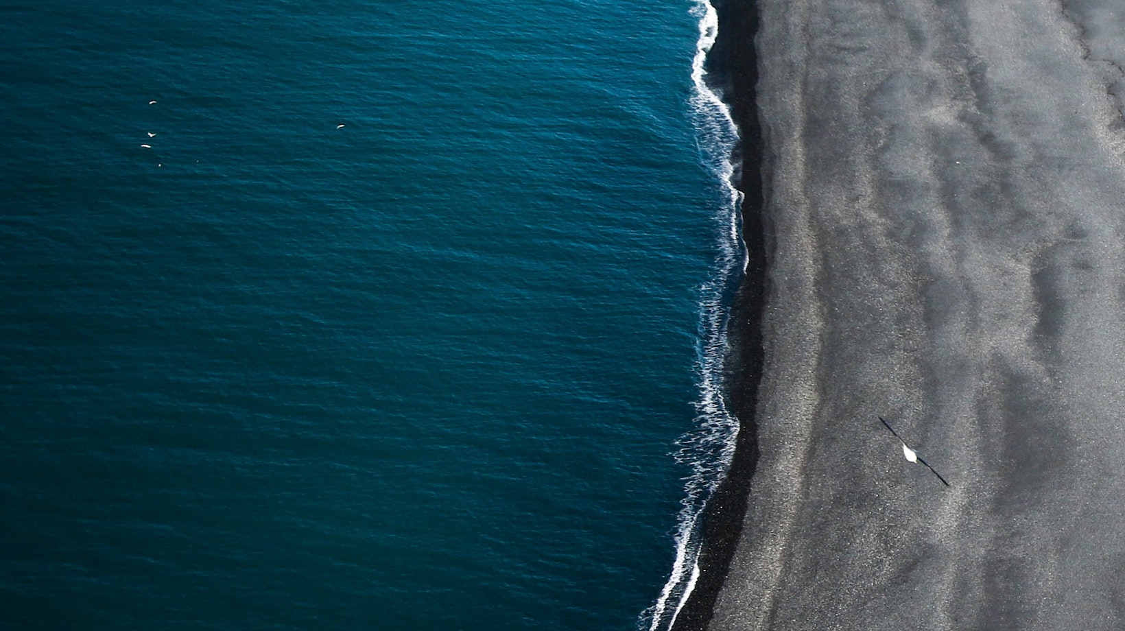 The Magnificent Coastline: How Far is Tallahassee Florida from the