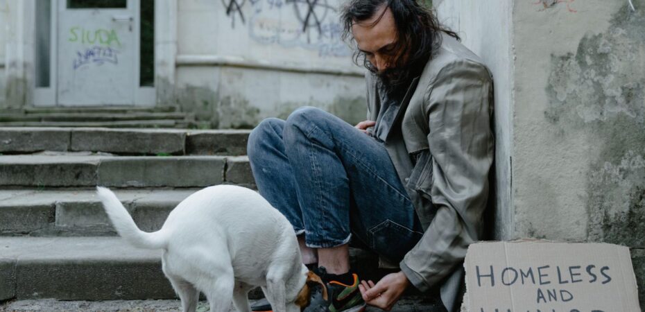 what do i do if i'm homeless with a dog