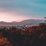 Solo Travel in Japan: A Student’s Guide