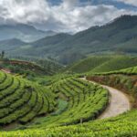 Experiencing Southeast Asia Through Responsible Tourism and Sustainable Exploration