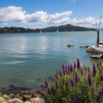 A Quick Escape to Marin County’s Good Beaches