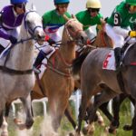 Florida’s Most Famous Horse Racing Locations