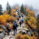 tweakaveltdrift itinerary scree